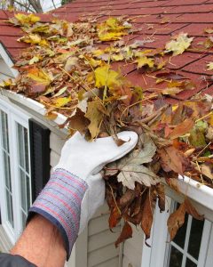 Gutter cleaning